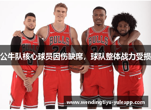 公牛队核心球员因伤缺席，球队整体战力受损