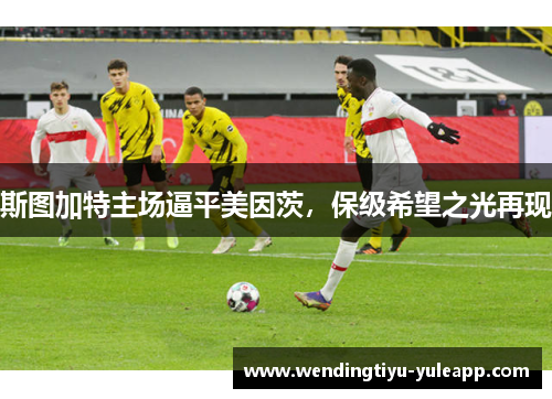 斯图加特主场逼平美因茨，保级希望之光再现